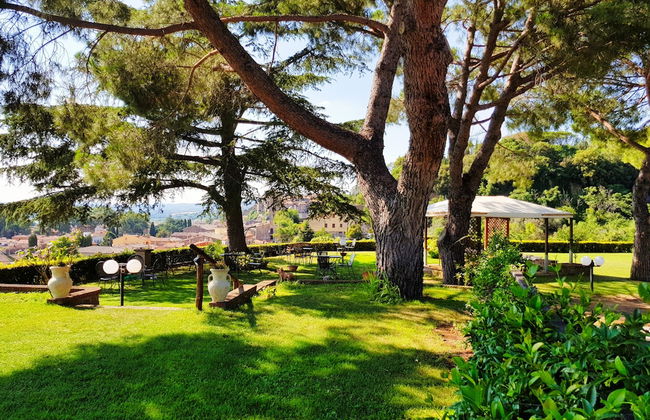 Le vigne - Foto 37