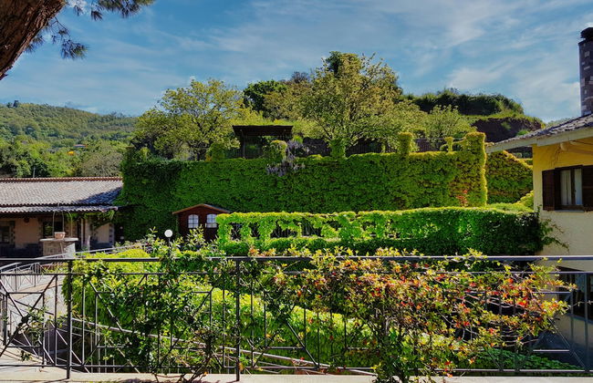 Le vigne - Foto 30