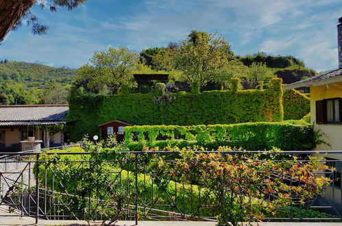 Photo 30 - Le vigne