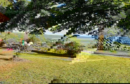 Le vigne - Foto 52