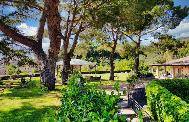 Le vigne - Foto 36