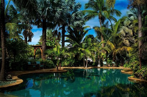 Photo 14 - The Caribbean Resort Fish Tail Palm
