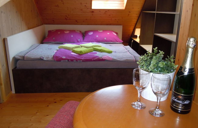 Apartmany Vlčková - Foto 14