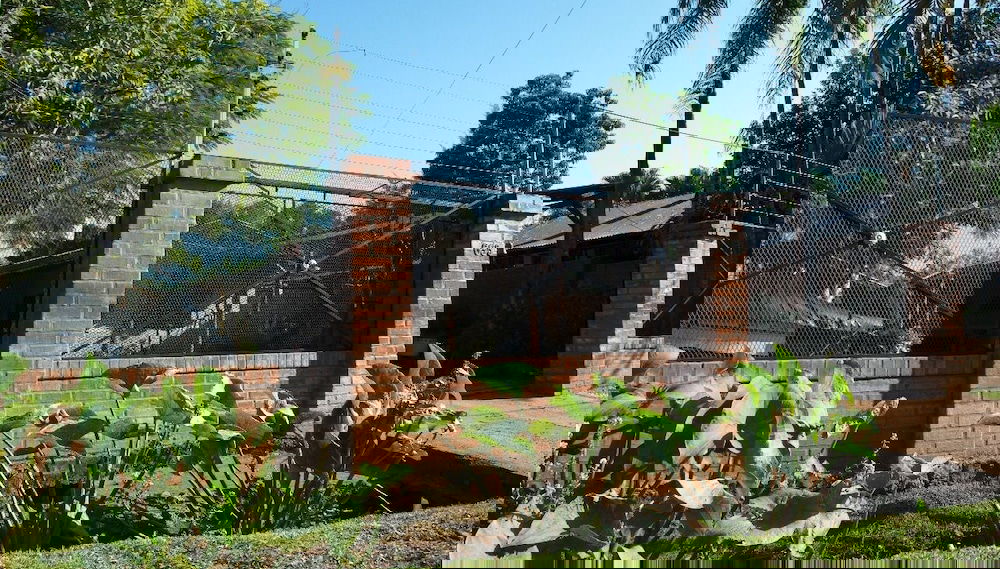 Imagem principal