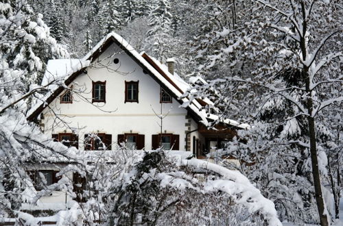 Photo 22 - Holiday Home in Hermagor in Carinthia With Pool