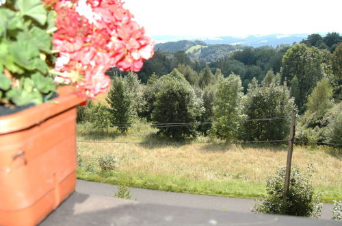 Photo 34 - Spacious Cottage in the Giant Mountains, Near the Ski Slopes