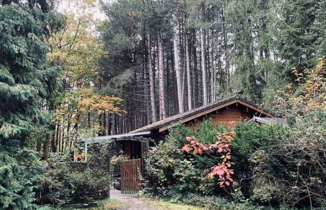 Peaceful Chalet Retreat - Photo 22