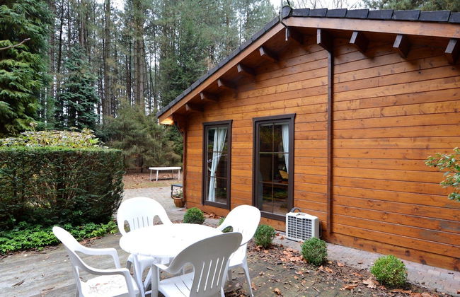 Peaceful Chalet Retreat - Photo 11