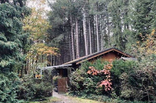 Photo 20 - Chalet in a Peaceful Location in a Forest Near Nijlen