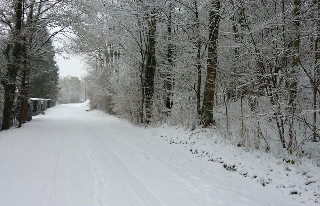 Cozy Escape in Bohon - Foto 19