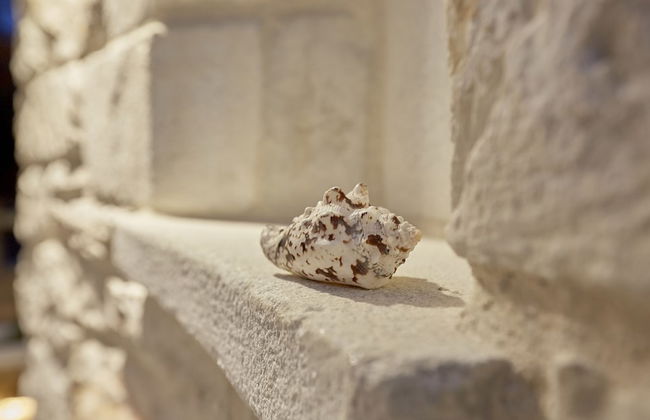 Sunrise Pelion Villas Sea View 2 - Photo 28