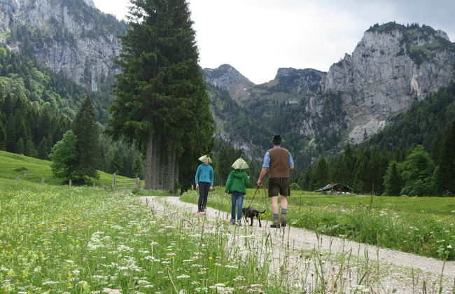 Zum Heisn - Foto 19