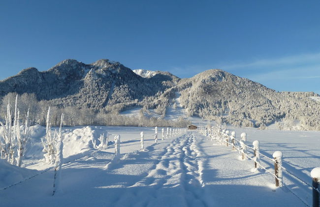 Zum Heisn - Foto 18