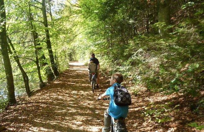 Zum Heisn - Foto 9