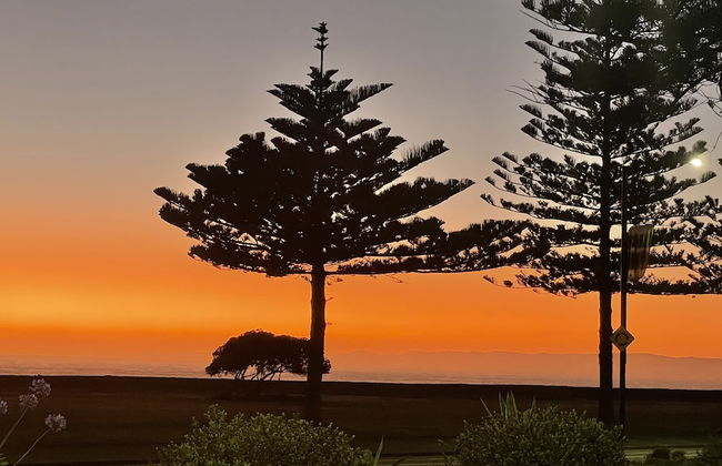Ocean Front Studio Napier - Foto 10