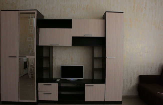 Apartment on Kamyshovaya 41, apt 2 - Foto 5