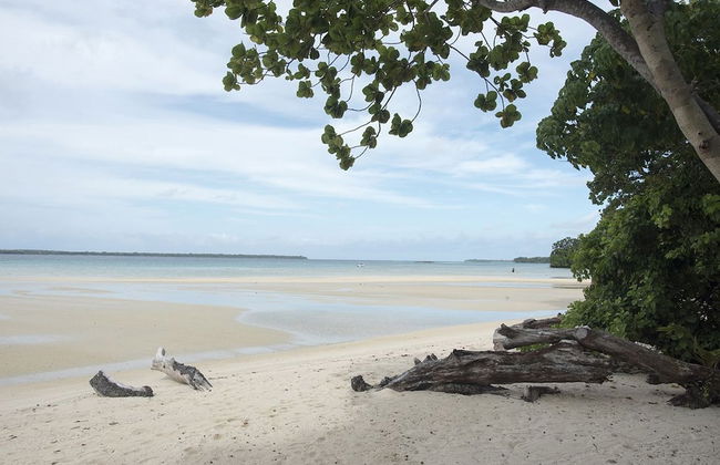 Mahimahi Villas - Photo 41