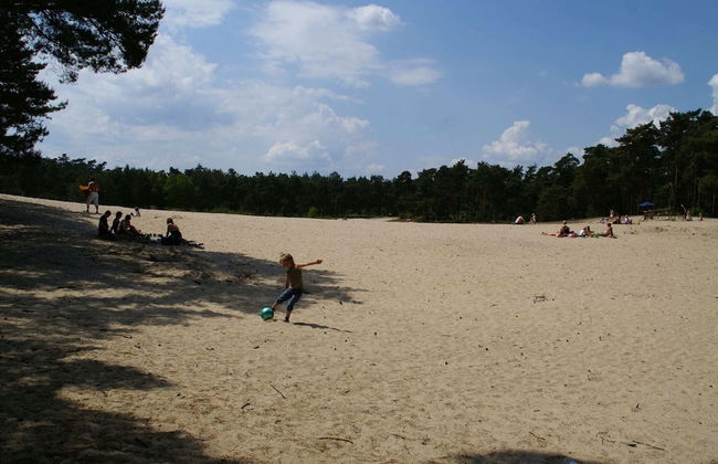 Holiday Home Buitenplaats Berg With 5 Rooms - Photo 29