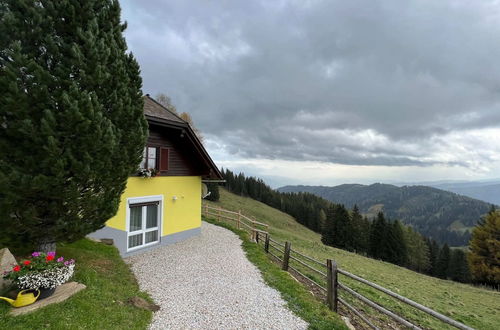 Photo 31 - Holiday Home in Prebl / Carinthia Near ski Area