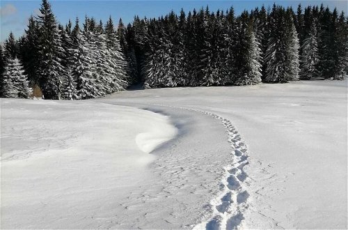 Foto 21 - Holiday Home in Prebl / Carinthia Near ski Area