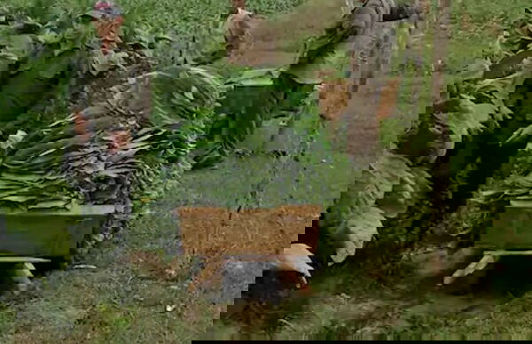 Villa Paraiso - Foto 27