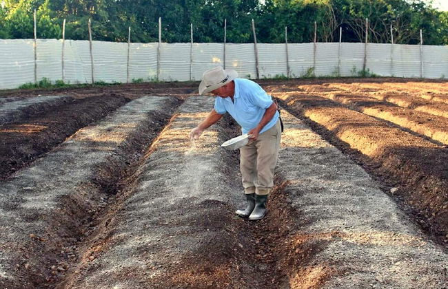 Villa Paraiso - Foto 29