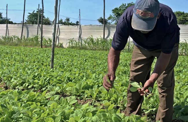 Villa Paraiso - Foto 30