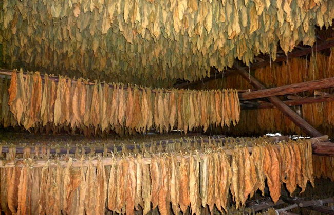 Villa Paraiso - Foto 17