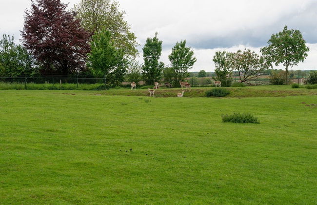 Apartment in Ubachsberg Near Limburg Hills - Foto 34