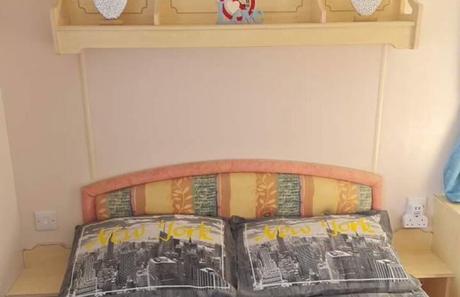Cosey 3 Bedroom Mobile Home Golden Palms Resort - Photo 8