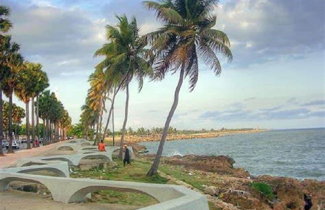 Paraiso - Foto 16