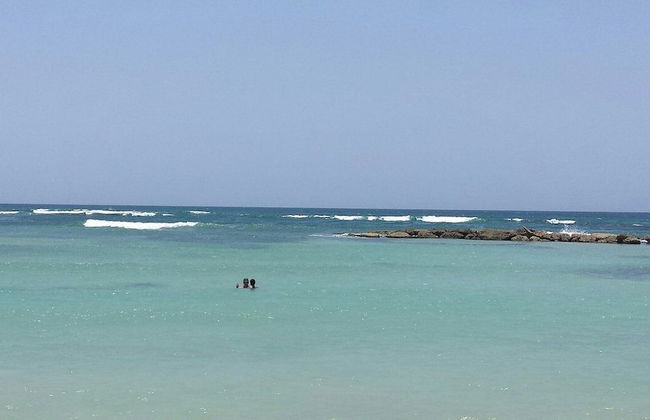 Paraiso - Foto 13