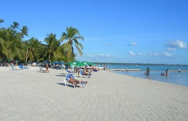 Paraiso - Foto 14