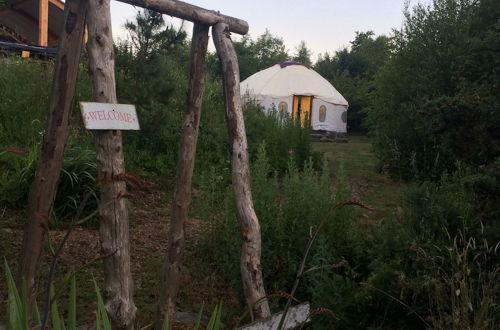 Photo 17 - Inch Hideaway Eco Glamping