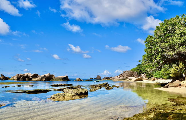 Sea Splash & La Petite Maison - Foto 70