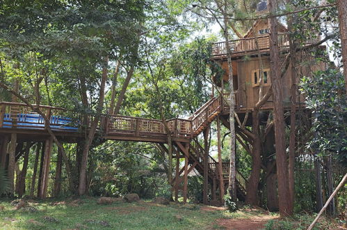 Photo 2 - Tree House with a Pool