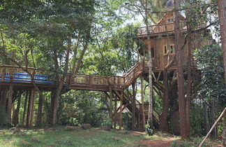 Foto 2 - Tree House with a Pool