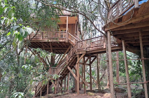 Photo 9 - Tree House with a Pool