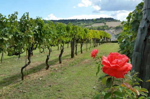 Foto 38 - I Sicomori - Seme di Carota - Glamping e appartamenti con piscina a Saturnia