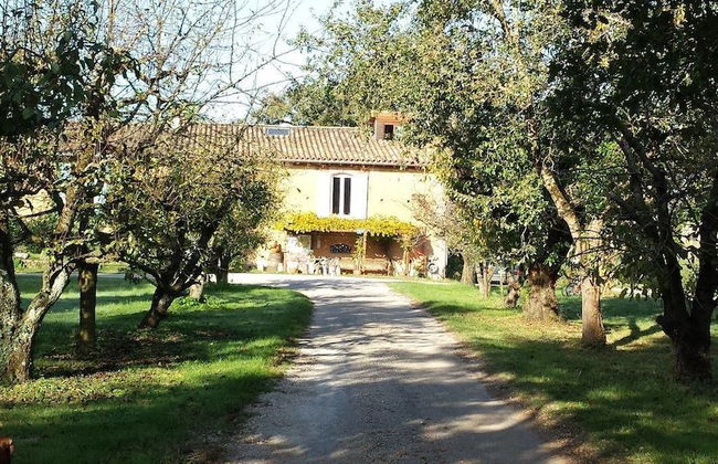Les Chalets De Fiolles - Photo 36