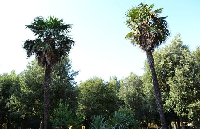 Agriturismo Villa Graziani - Foto 64