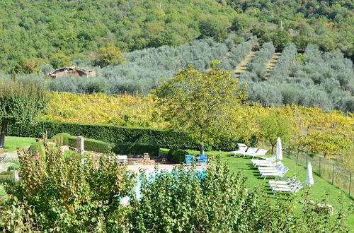 Photo 66 - Fattoria Santo Stefano - Agriturismo