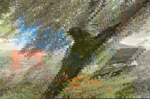 Foto 39 - Ca D'artista For Nature Lovers