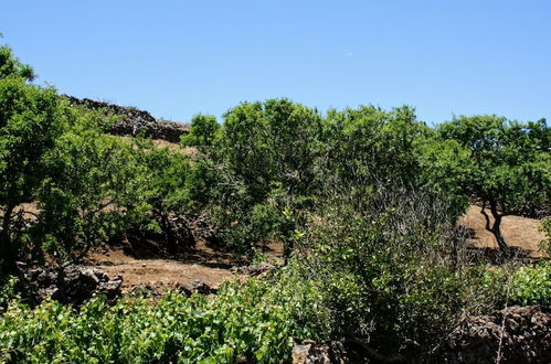 Foto 54 - La Casa del Abuelito Julián en El Hierro