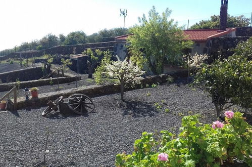 Photo 50 - La Casa del Abuelito Julián en El Hierro