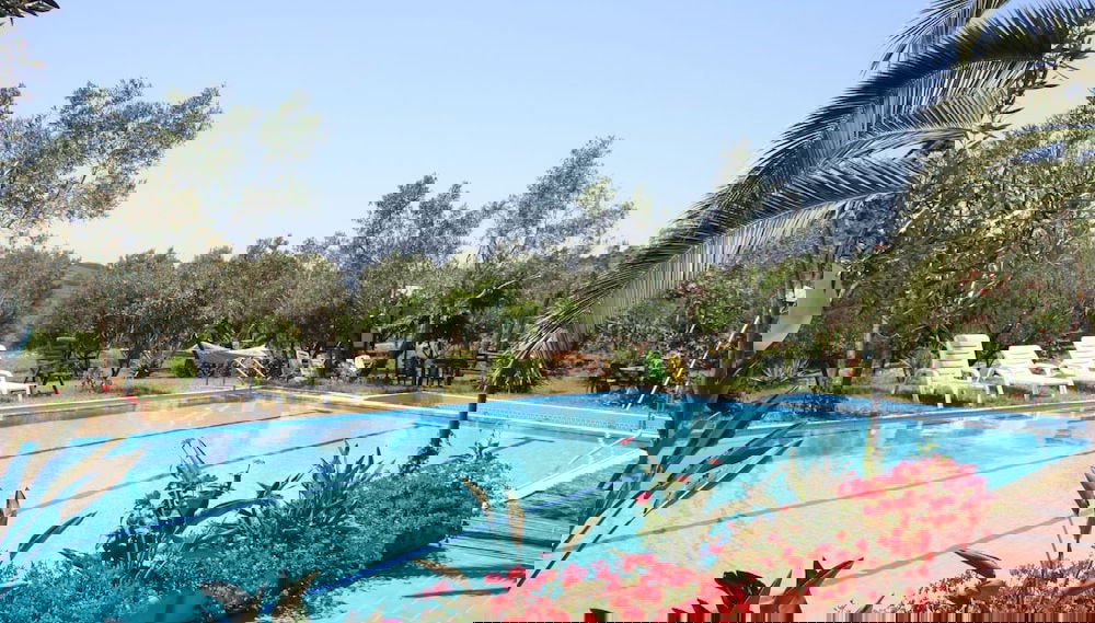 Image principale