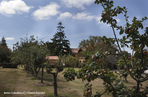 Photo 31 - La Casona de Quintes