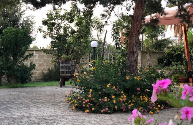 Affittacamere Paduli Piani - Foto 51