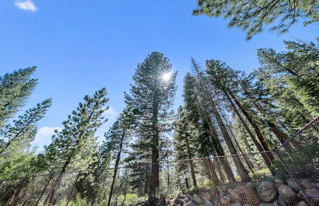 Enjoy Forest Views Retreat at Kingswood Village! - Foto 23