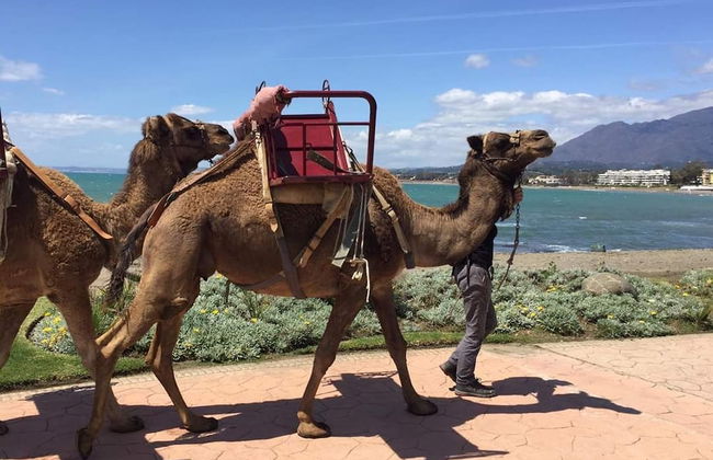 Casa Cachita - En 1ª línea de playa con maravillosas vistas - Photo 58
